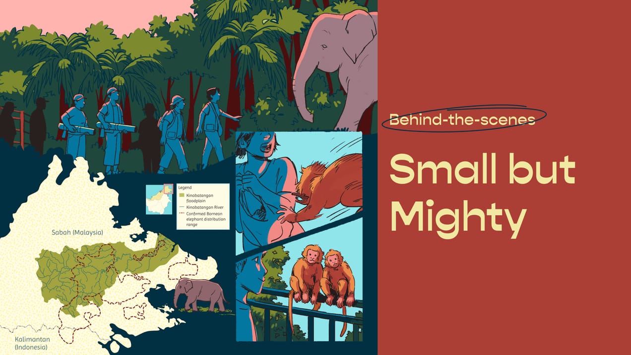 Small but Mighty: Behind the Scenes