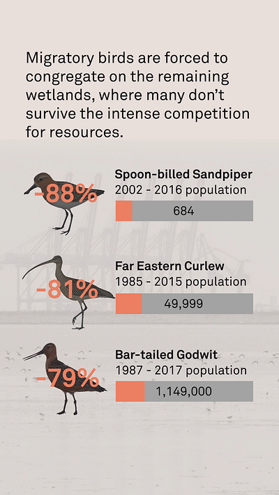 Designing data visualisations for social media